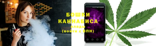 PSILOCYBIN Снежинск