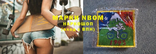 сатива Белокуриха