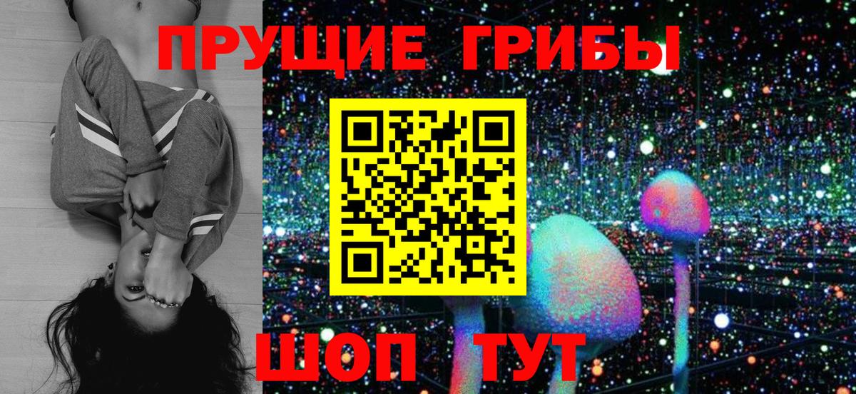 Губкинский  Галлюциногенные грибы мицелий  Вход с VPN  Галлюциногенные грибы Psilocybine cubensis 