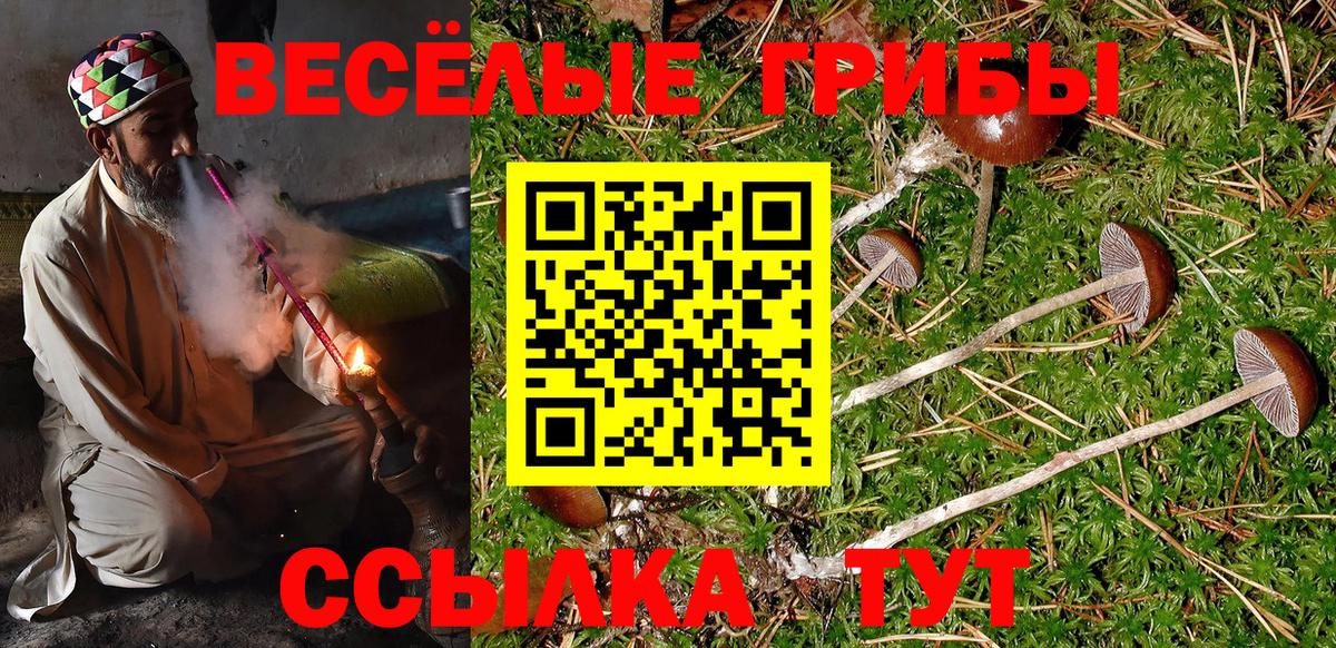 Галлюциногенные грибы GOLDEN TEACHER Губкинский